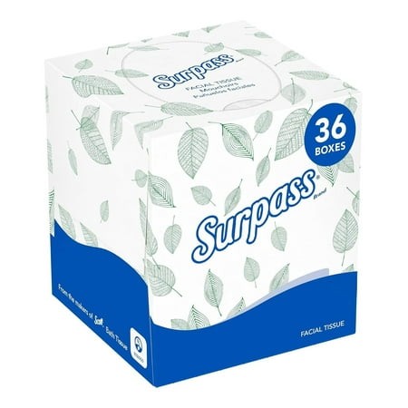 Boutique Facial Tissue Cube (21320)  2-Ply  White  Unscented  110 Face Tissue / Box  36 Boxes / Case