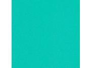 Peel & Stick Backsplash Phoenix Solid Aqua Green Contact Paper Self-Adhesive Wallpaper 4804-3 : 1.96 Feet X 8.20 Feet