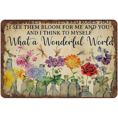 Retro Tin Sign Dragonfly What a Wonderful World Flowers I See TRE of Green Red Rose Too Vase Flowers Entryway Gallery in Poster 12x8Inches