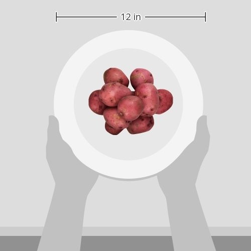 Organic Baby Red Potatoes, 24 Oz thumbnail
