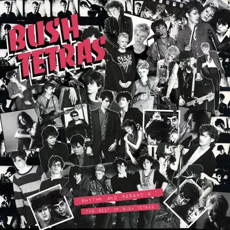 Bush Tetras Rhythm & Paranoia: the Best of Bush Tetras with Boo