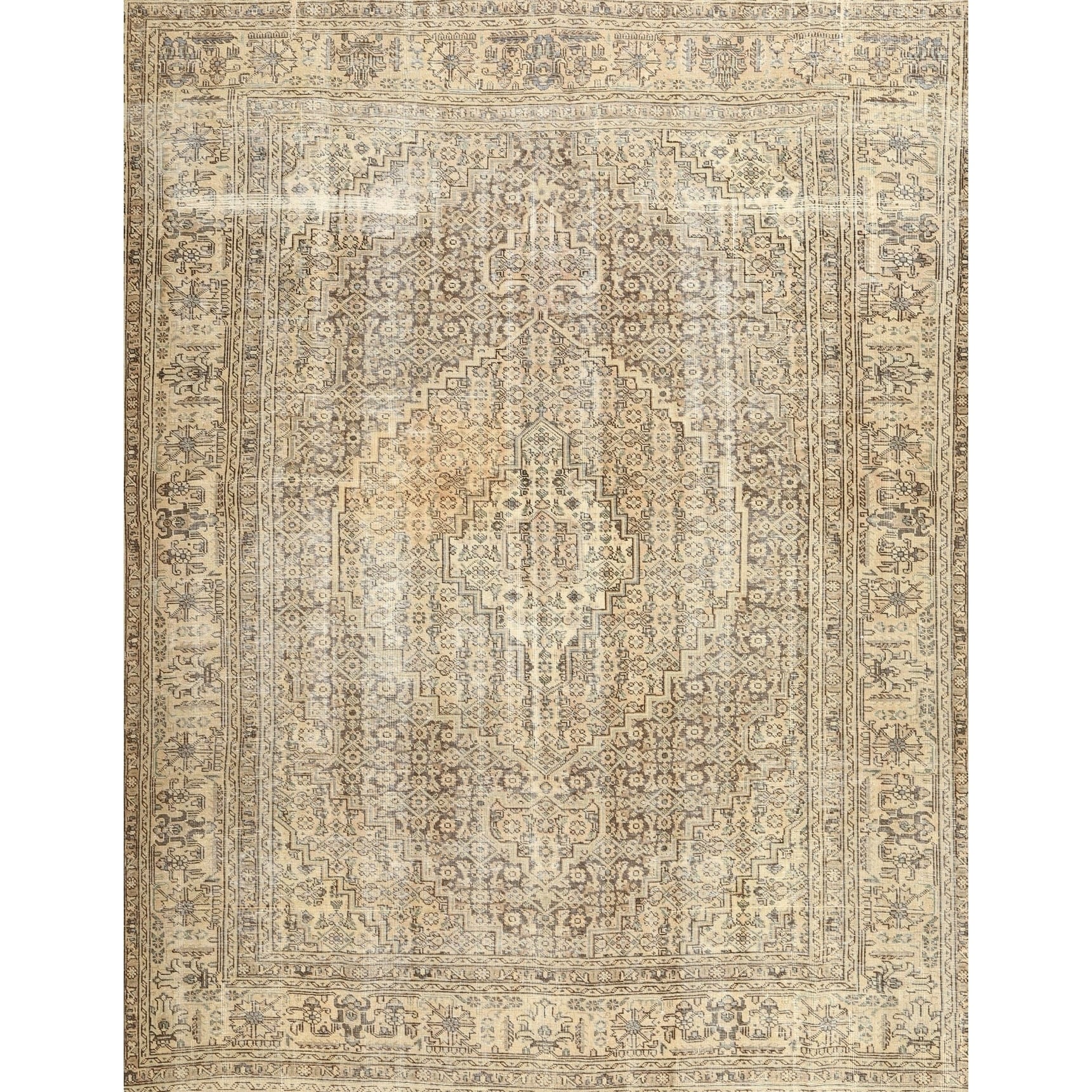 Traditional 3443 Area Rug - 5'0