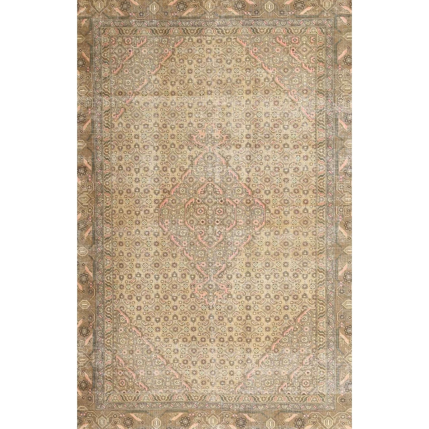 Traditional 3943 Area Rug - 5'0