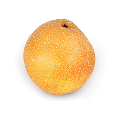 Asian Pear