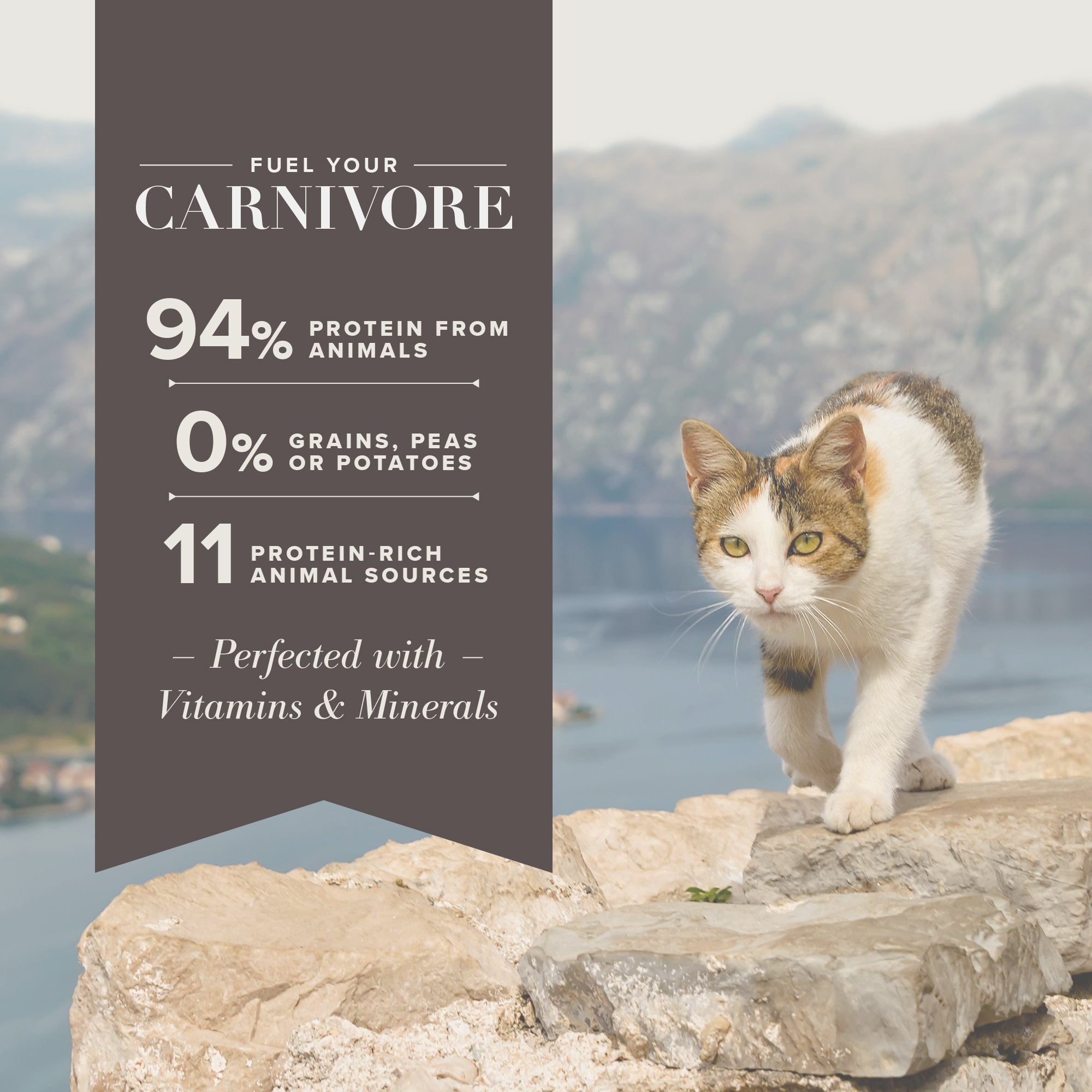 Blue Buffalo Blue Carnivora Woodland Blend Optimal Prey Nutrition High Protein, Grain Free Natural Kitten Dry Food, 4 Lbs. thumbnail