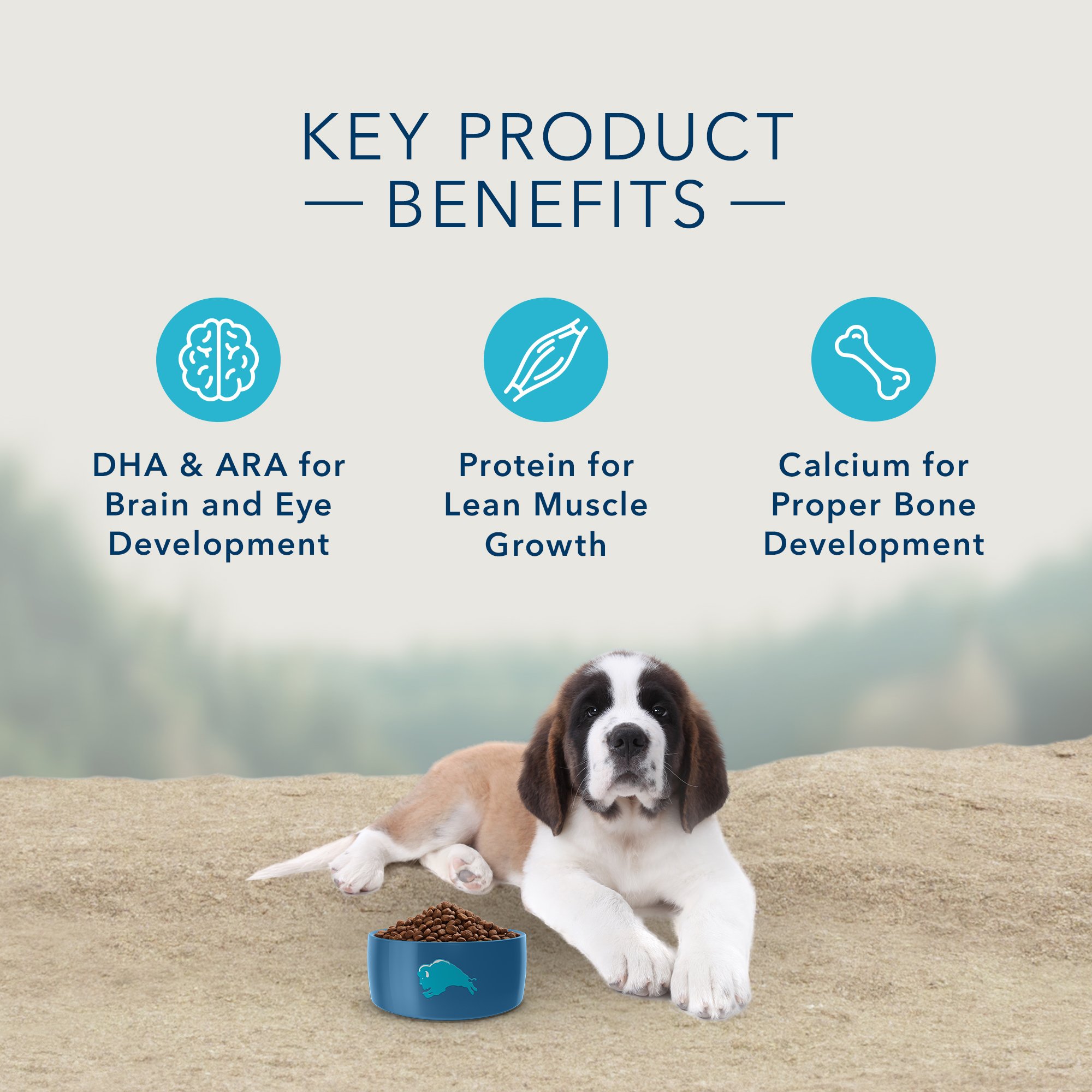 Blue Buffalo Blue Carnivora Woodland Blend Optimal Prey Nutrition High Protein, Grain Free Puppy Large Breed Dry Food, 22 Lbs. thumbnail
