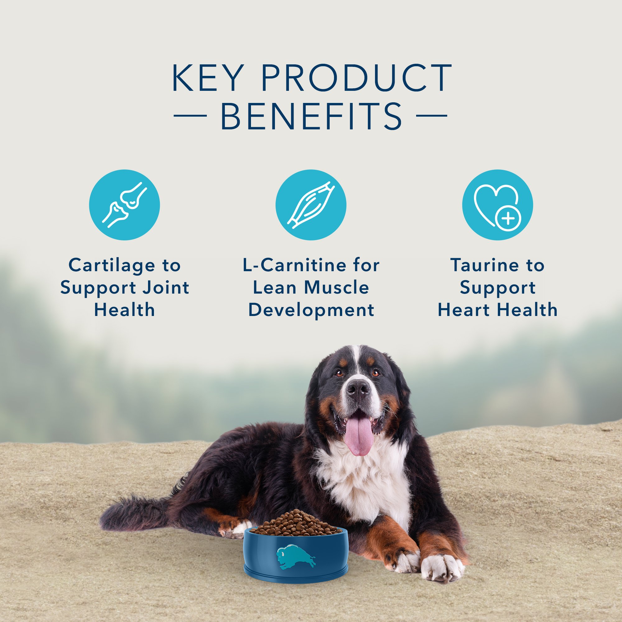 Blue Buffalo Blue Carnivora Woodland Blend Optimal Prey Nutrition Grain Free Adult Large Breed Dry Dog Food, 22 Lbs. thumbnail