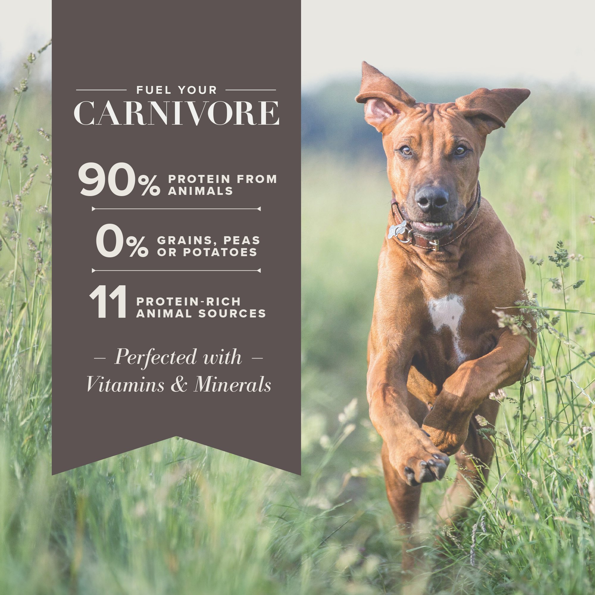 Blue Buffalo Blue Carnivora Woodland Blend Optimal Prey Nutrition High Protein, Grain Free Healthy Weight Dry Dog Food, 22 Lbs. thumbnail