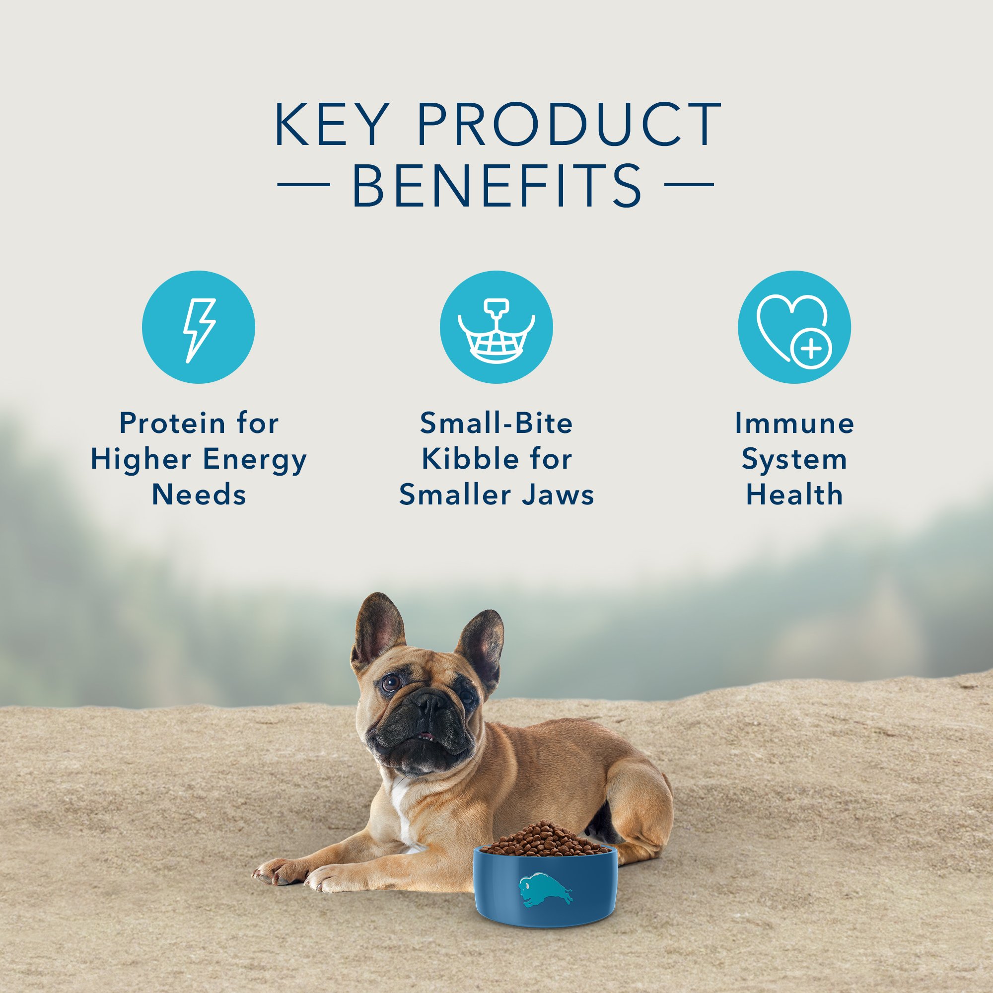 Blue Buffalo Blue Carnivora Woodland Blend Optimal Prey Nutrition Grain Free Adult Small Breed Dry Dog Food, 10 Lbs. thumbnail