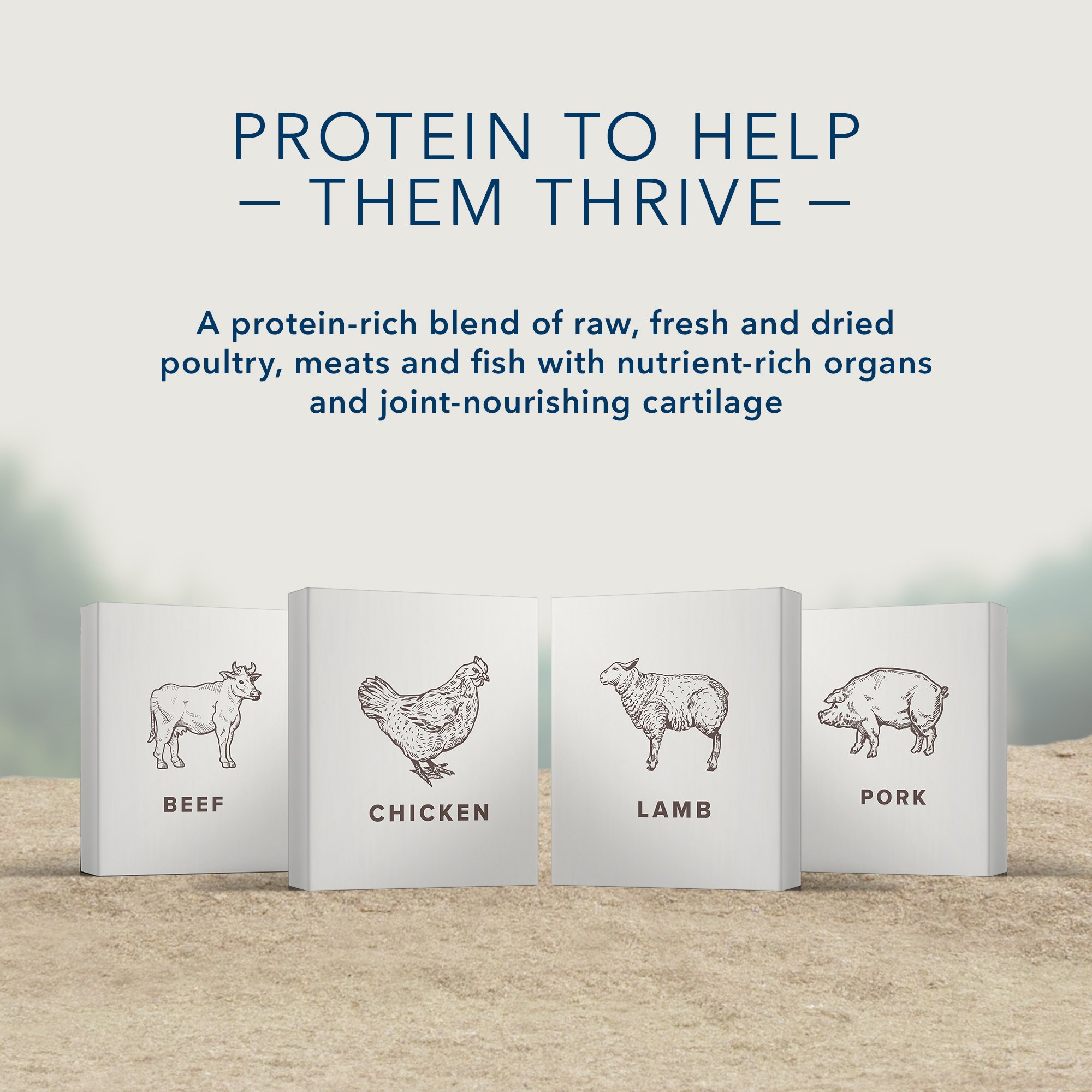 Blue Buffalo Blue Carnivora Prairie Blend Optimal Prey Nutrition High Protein, Grain Free Natural Adult Dry Dog Food, 22 Lbs. thumbnail