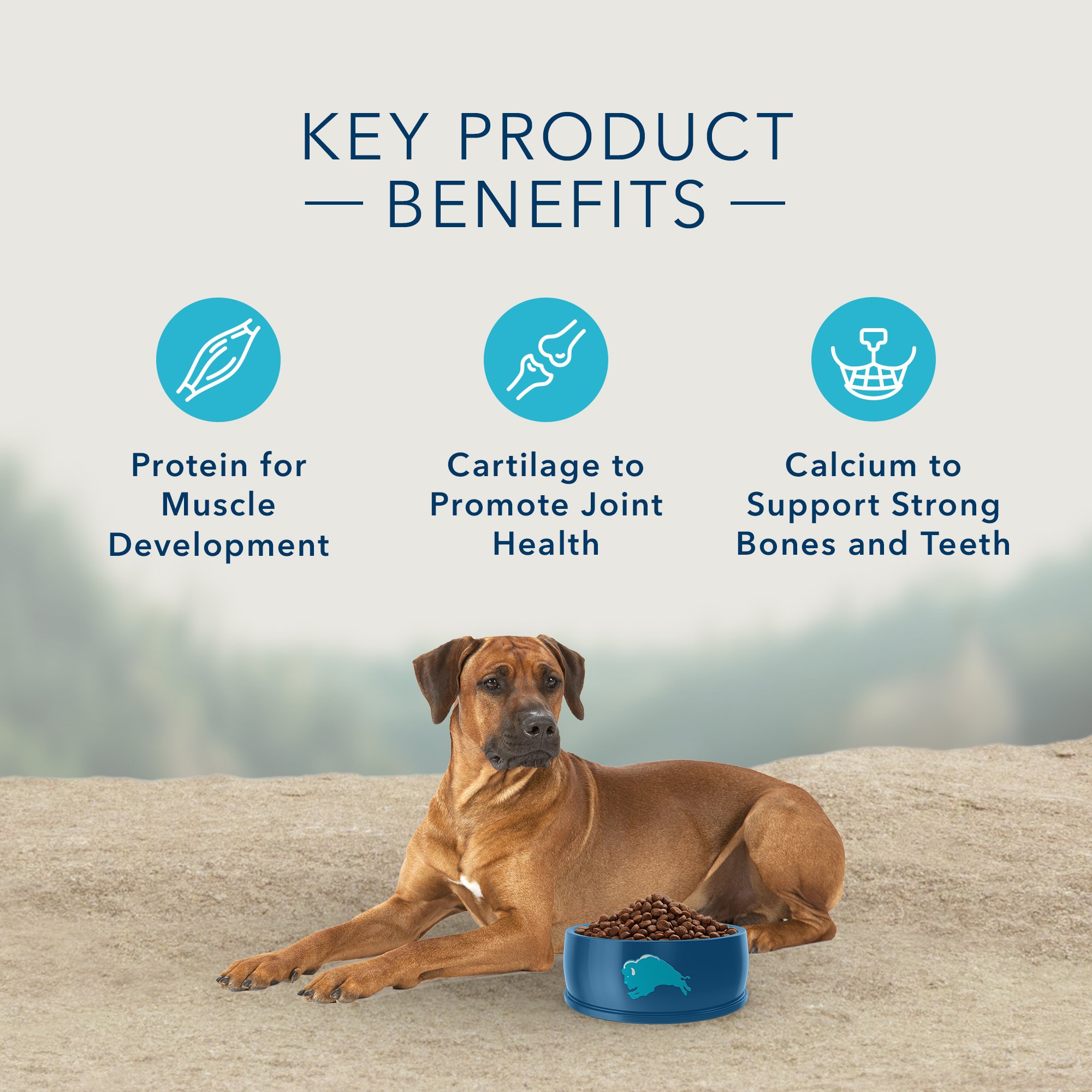 Blue Buffalo Blue Carnivora Woodland Blend Optimal Prey Nutrition High Protein, Grain Free Natural Adult Dry Dog Food, 22 Lbs. thumbnail