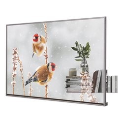 Display Professionale 55
