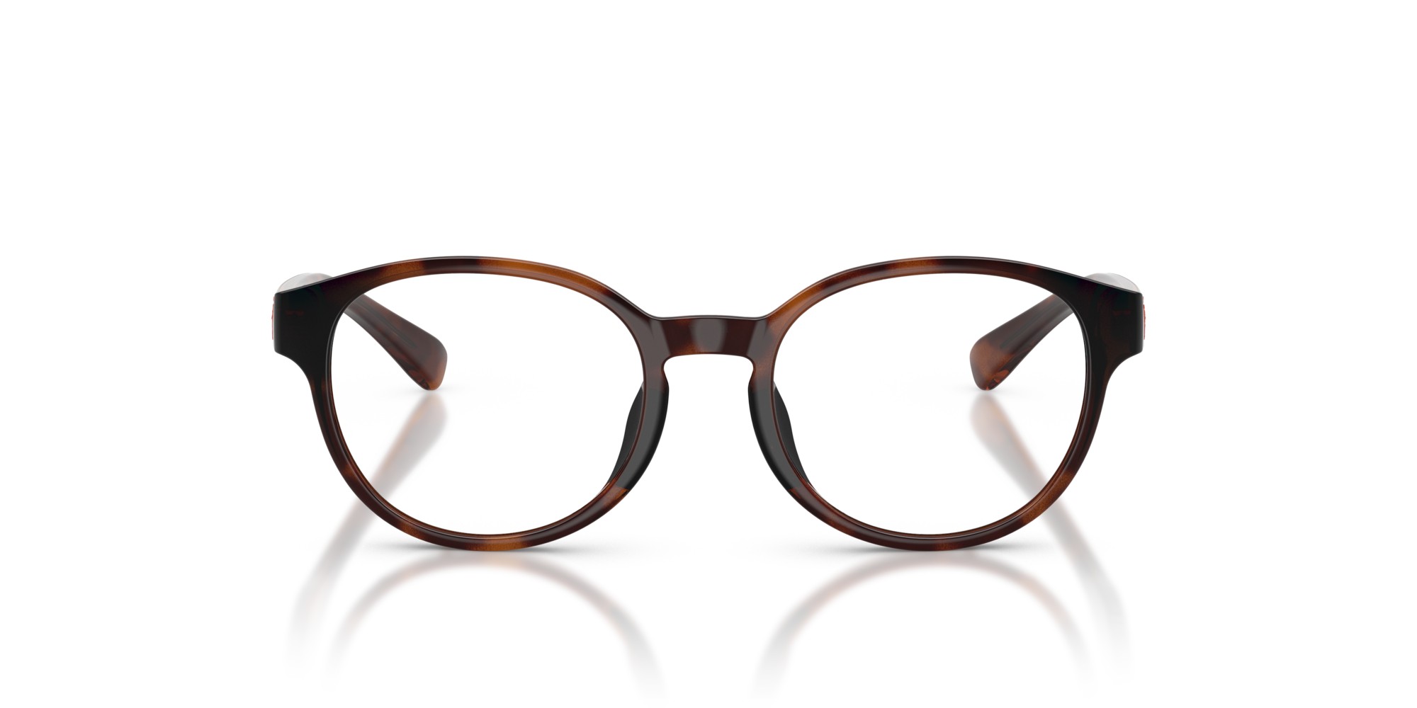 Polo Ralph Lauren Kid PP8550U  6249 Optical Frames Injected Turtle Transparent Pantos Normal thumbnail