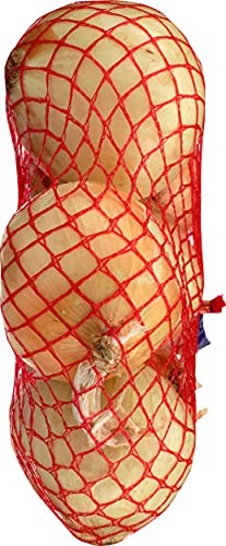 Organic Yellow Onion, 48 Ounce Bag thumbnail