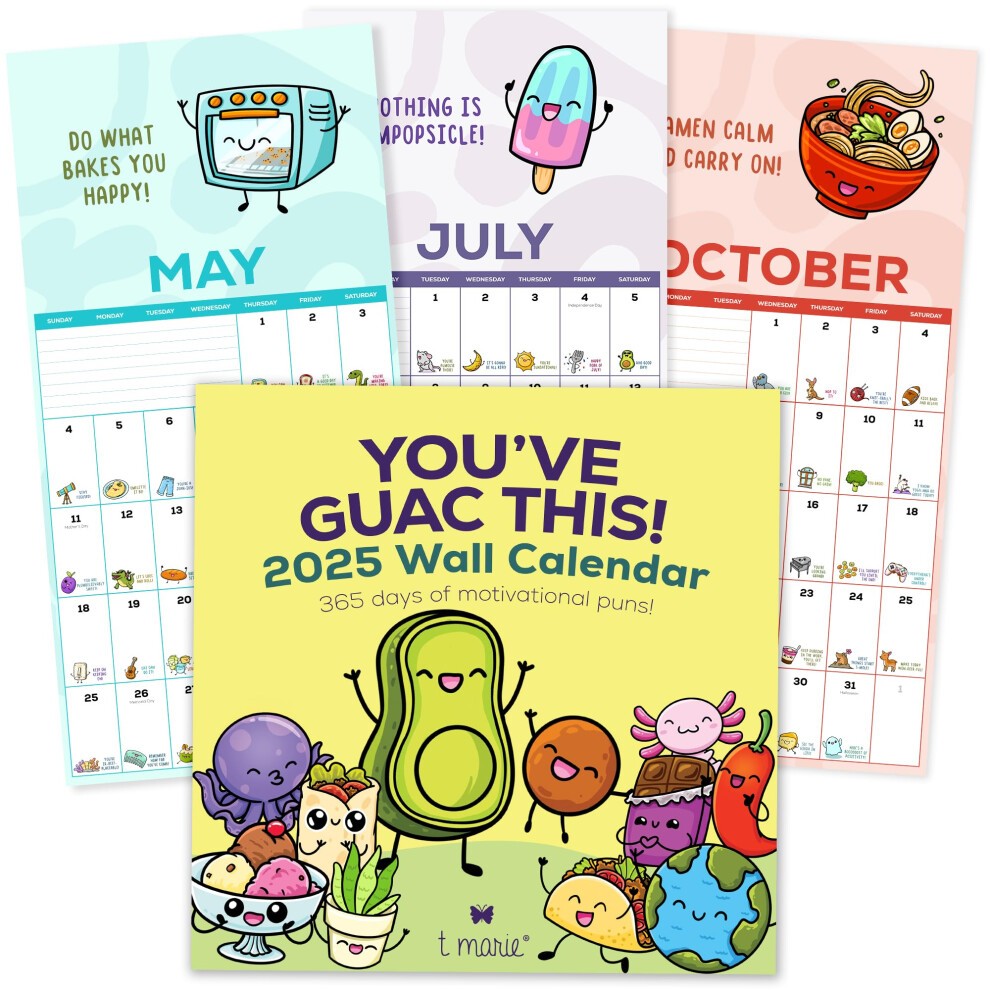 T MARIE Punny Wall Calendar - Monthly 12  X 12  Motivational Calendar with 365 Days of Cartoons and Encouraging Puns - Extra Large Grid for Appointmen