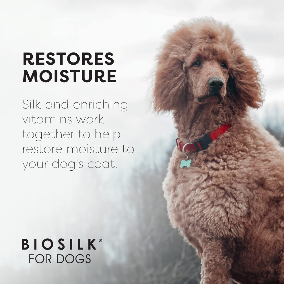 BioSilk for Dogs Silk Therapy Shampoo with Natural Coconut Oil | Sulfate and Paraben Free Natural Dog Shampoo  12 Fl Oz - 6 Pack | Made in the USA thumbnail
