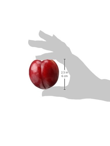 Organic Red Plum thumbnail