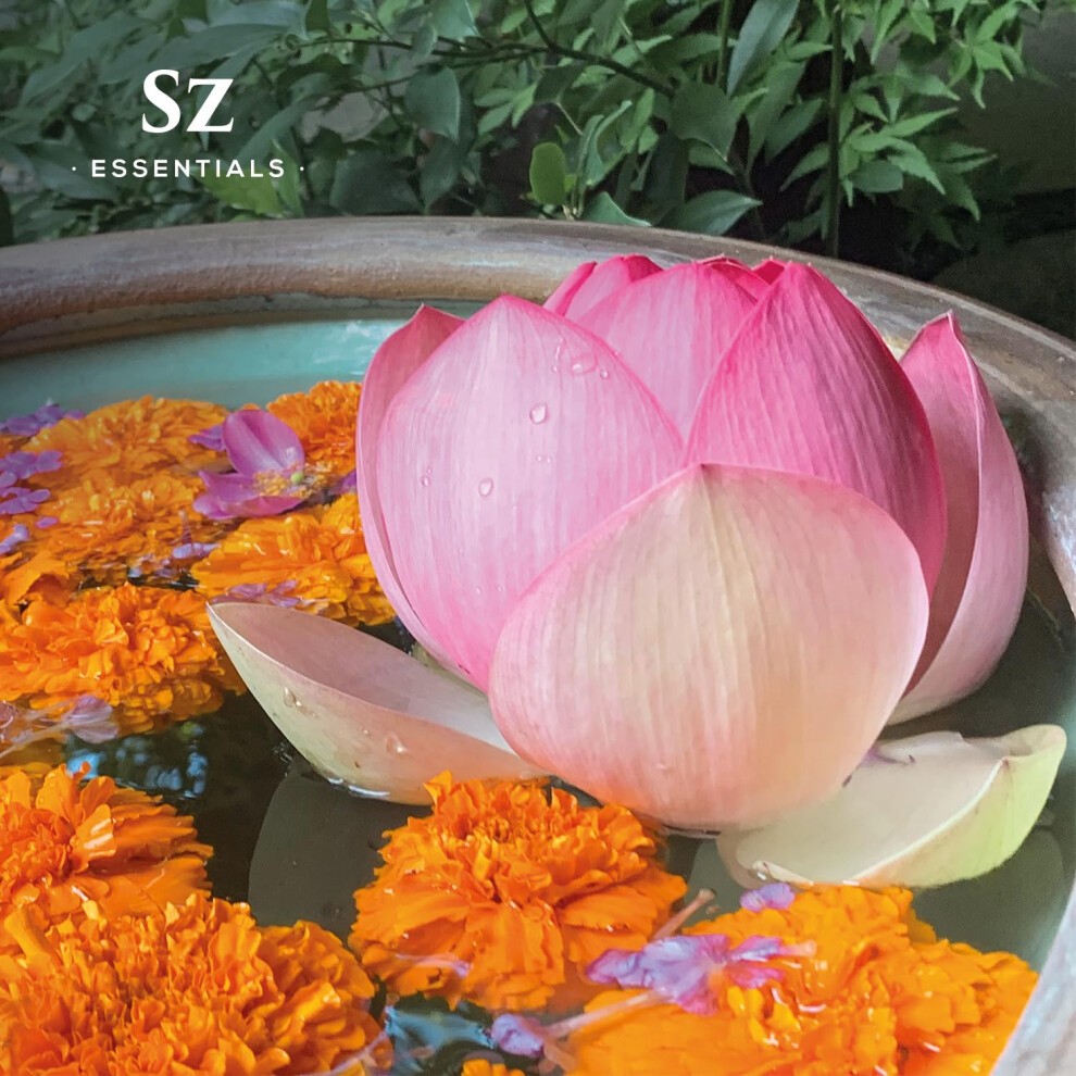 Sz Essentials - Pink Lotus 100% Pure  Essential Natural Oil - Extracted from Nymphaea Nucifera - Divine & Sweet Scent  with Exotic Floral Overtones - thumbnail