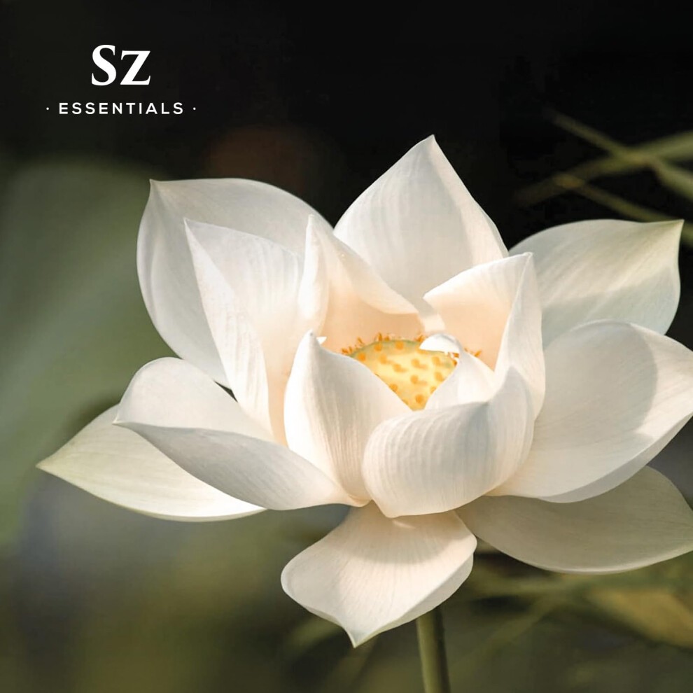 Sz Essentials - White Lotus 100% Pure  Essential Natural Oil - Extracted from Nymphaea Lotus - Rich & Sweet Scent  with Exotic Floral Overtones - Ther thumbnail