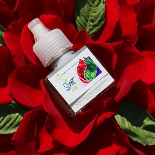 Scent Fill 100% Natural Sweet Rose & Basil Plug in Air Freshener, Scented Oil Refills, 3 Refills thumbnail