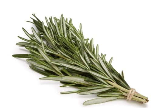 Amazon Grocery, Organic Rosemary, 0.5 Oz (Previously Fresh Brand, Packaging May Vary) thumbnail