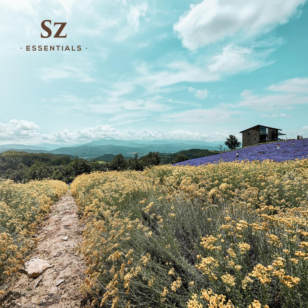 Sz Essentials - Helichrysum 100% Pure  Essential Natural Oil - Extracted from Helichrysum Italicum Immortelle - Pleasant & Sweet Scent with Floral Ove thumbnail