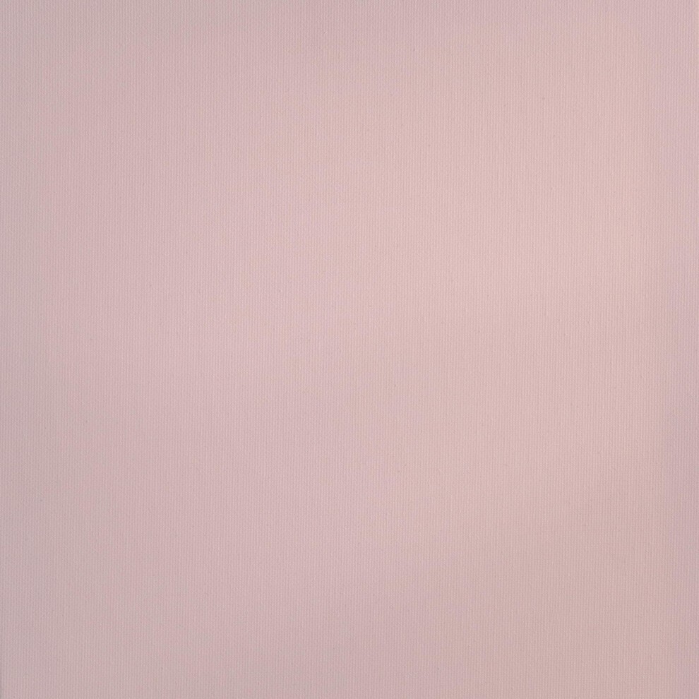 Royal & Langnickel RAA-5105 Essentials 500ml Acrylic Paint - Raw Sienna thumbnail
