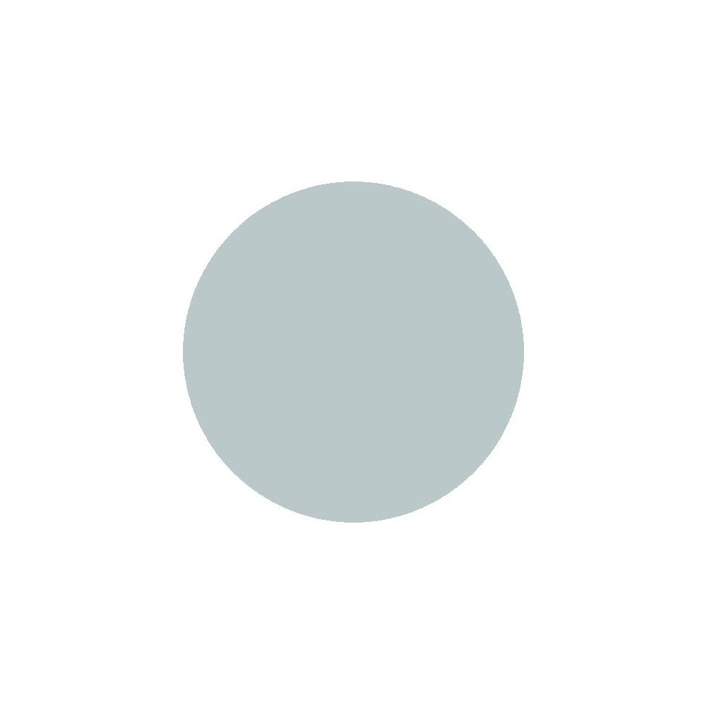 RailMatch 2313 Coach Roof Light Grey 18ml Acrylic Paint
