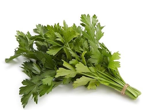 Amazon Grocery, Organic Italian Parsley, 0.5 Oz (Previously Fresh Brand, Packaging May Vary) thumbnail