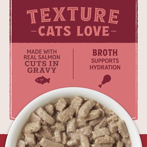 Natural Balance Ultra Protein Real Salmon/Protein-Rich Organ Cut Cat 10/2.7oz thumbnail