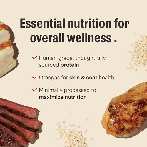 The Honest Kitchen Essential Clusters Whole Grain Beef & Chicken Dog Food, 5 Lbs thumbnail