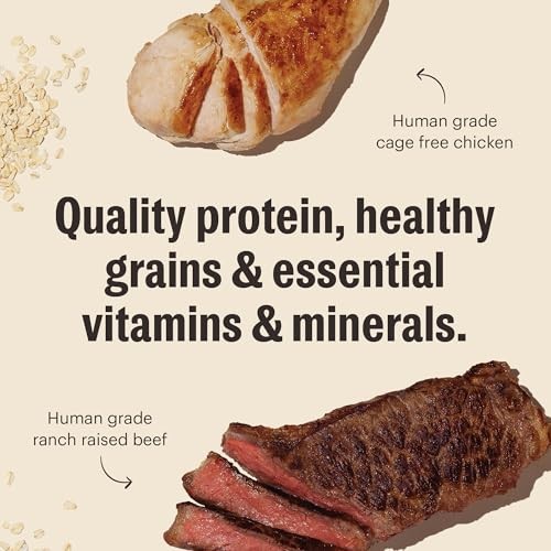 The Honest Kitchen Essential Clusters Whole Grain Beef & Chicken Dog Food, 5 Lbs thumbnail