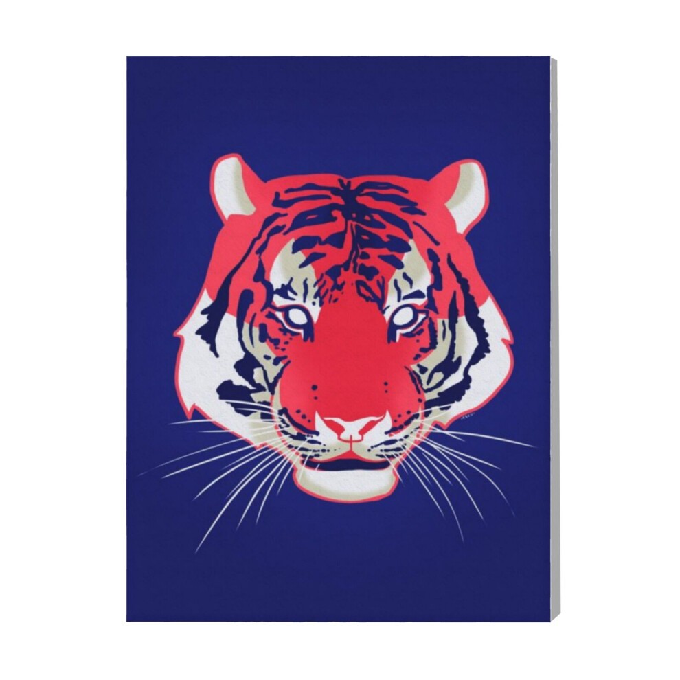(Graphic Tiger=8835) Canvas Print Pop Art Framed DIY Install Kit- 16x20