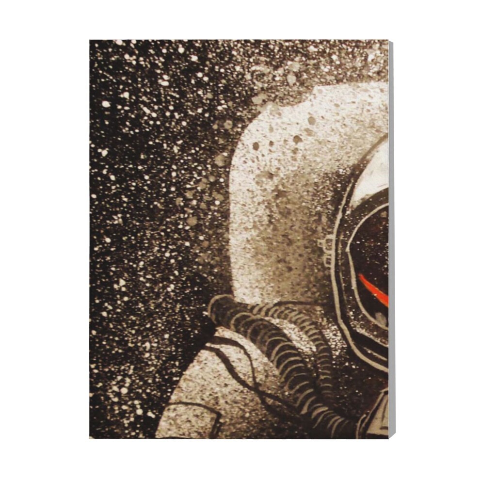 (Astronaut and Bird=9598) Canvas Print Pop Art Framed DIY Install Kit- 16x20