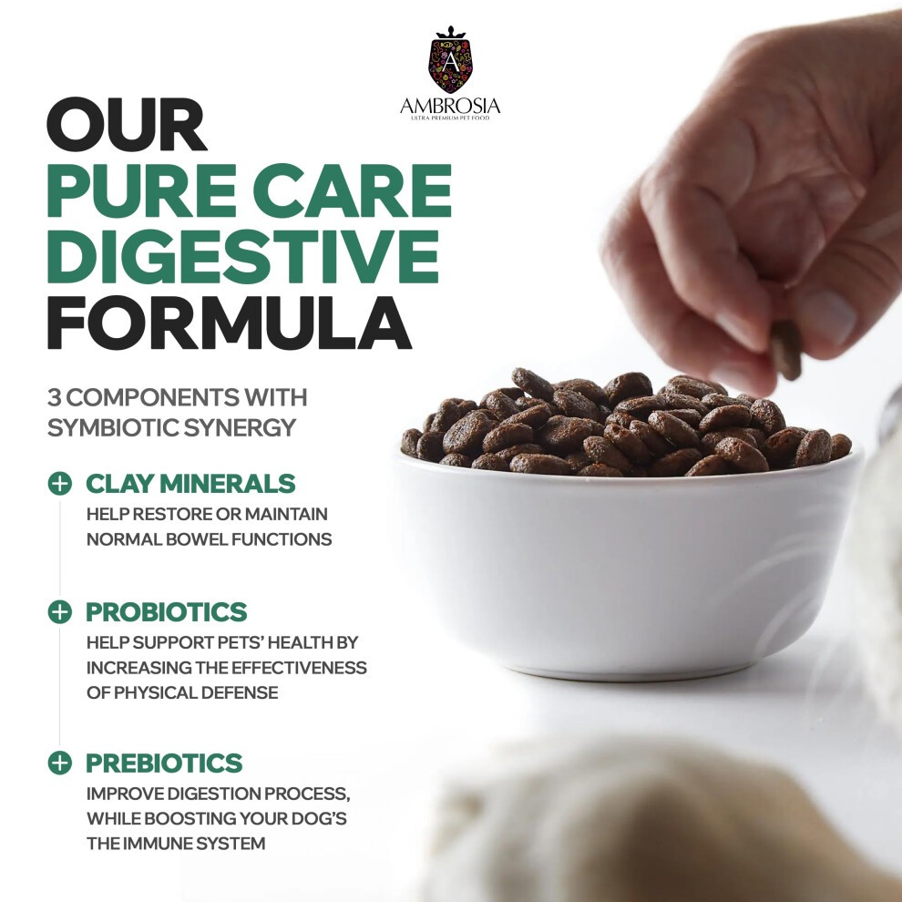 Complete Senior Grain Free Dry Dog Food 2kg - Hypoallergenic, High Protein Dog Food, Fresh Turkey & Salmon Flavour by Ambrosia Ultra Premium Pet thumbnail