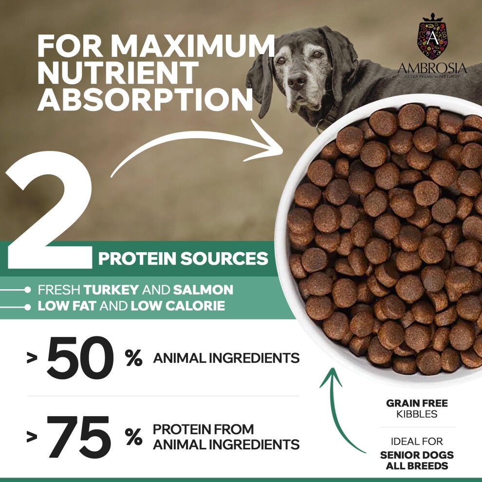 Complete Senior Grain Free Dry Dog Food 2kg - Hypoallergenic, High Protein Dog Food, Fresh Turkey & Salmon Flavour by Ambrosia Ultra Premium Pet thumbnail