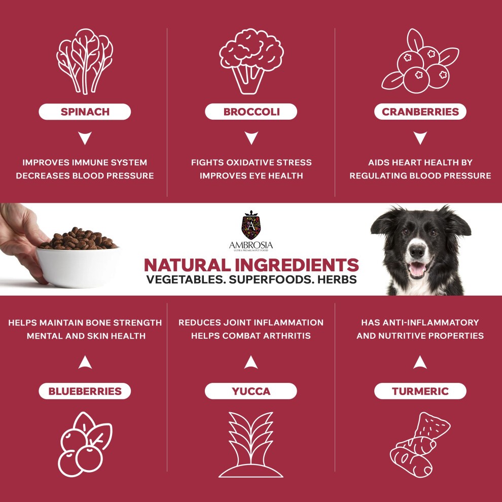 Complete Grain Free Dry Dog Food 2kg (Adults All Breed) - Hypoallergenic, High Protein Dog Food, Beef & Salmon Flavour by Ambrosia Ultra Premium Pet thumbnail