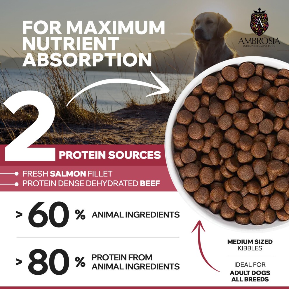 Complete Grain Free Dry Dog Food 2kg (Adults All Breed) - Hypoallergenic, High Protein Dog Food, Beef & Salmon Flavour by Ambrosia Ultra Premium Pet thumbnail