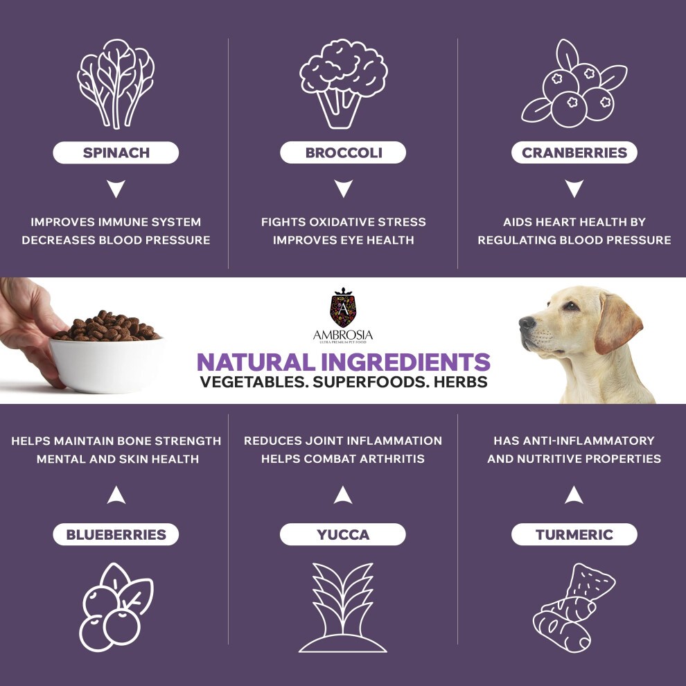Complete Grain Free Dry Dog Food 2kg (Adults - All Breed) - Hypoallergenic, High Protein Dog Food, Venison & Lamb Flavour by Ambrosia Ultra Premium thumbnail