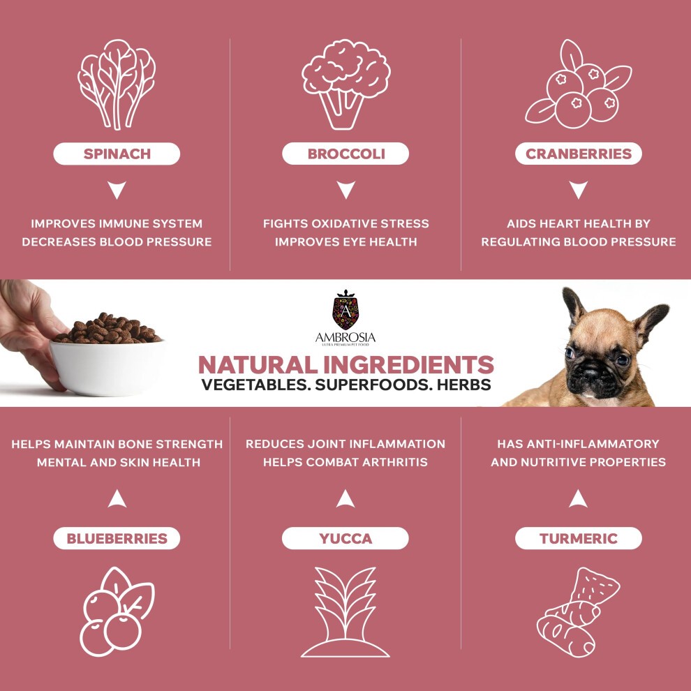 Complete Grain Free Dry Puppy Food 2kg - Hypoallergenic, High Protein Dog Food, Chicken & Fish Flavour by Ambrosia Ultra Premium Pet Food?, Hydrolysed thumbnail