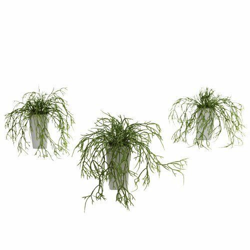Nearly Natural 4973-S3 Wild Green Grass Plant with White Vase- Set of 3
