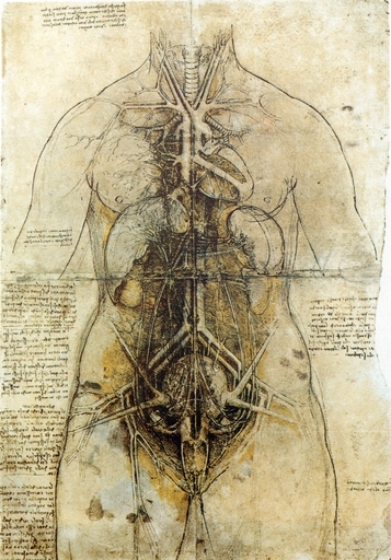 Da Vinci Female Anatomical Study 1507 Stretched Canvas - Science Source (24 X 36)