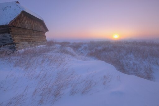 Sunrise on Abandoned Snow-Covered Homestead -40 Celsius Alberta Prairie Stretched Canvas - Dan Jurak Design Pics (17 X 11)