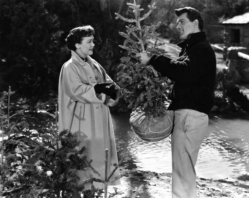 All That Heaven Allows Jane Wyman Rock Hudson 1955 Photo Print (14 X 11)