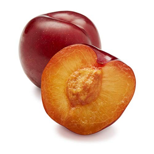 Red Plum