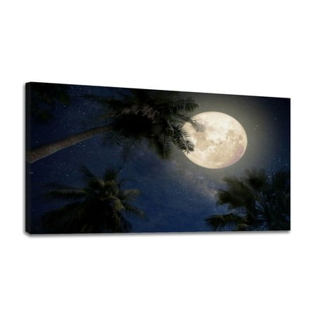Canvas Wall Art Beautiful Fantasy Palm Tree Tropical Beach Full Moon Milky Way Star Wall Decor for Living Room Bathroom Bedroom Office Art Painting 24