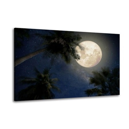 Canvas Wall Art Beautiful Fantasy Palm Tree Tropical Beach Full Moon Milky Way Star Wall Decor for Living Room Bathroom Bedroom Office Art Painting 24