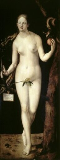 Eve 1507 Oil on Wood Panel Albrecht Durer (1471-1528 German) Museo Del Prado Madrid Stretched Canvas - Albrecht Durer (24 X 36)