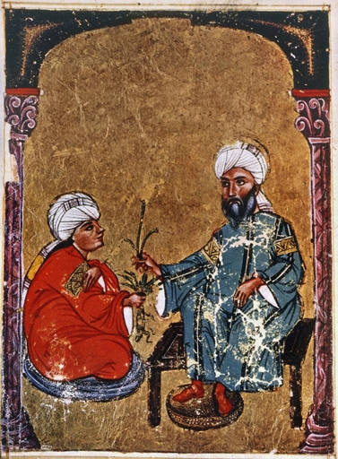 Dioscorides and Student Ndiscuss the Mandrake Arabic Ms of De Materia Medica 1229 AD Stretched Canvas - (24 X 36)