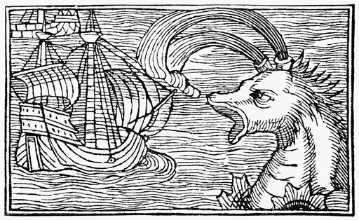 Sea Monster 1555 None of the Sea Monsters Thought to Inhabit the Sea of Darkness to the West and South of Europe Woodcut from Swedish Geographer Olaus
